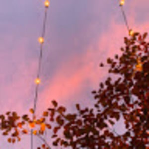 Meet your Posher, Anissa